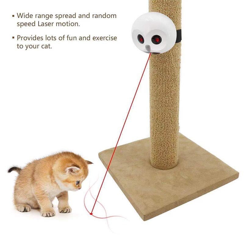 Interactive Infrared Kitten Toy for Pets Low Zambia Ubuy