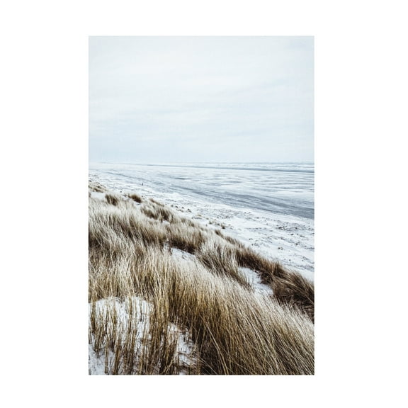 Canvas Wall Art - Incado 'Coastal II' Wall Art for Living Room, Bedroom, or Office Décor by Trademark Fine Art - 12 x 19 Inches