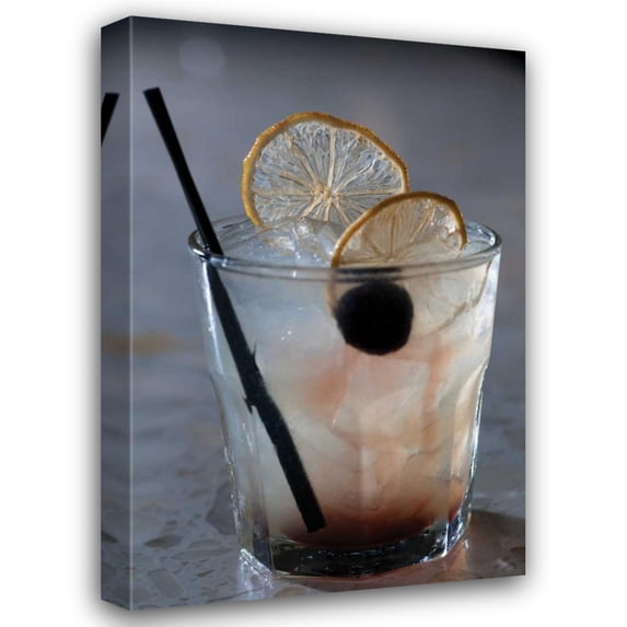 Erin Berzel 17x24 Gallery Wrapped Canvas Wall Art Titled - Cocktail Hour VI