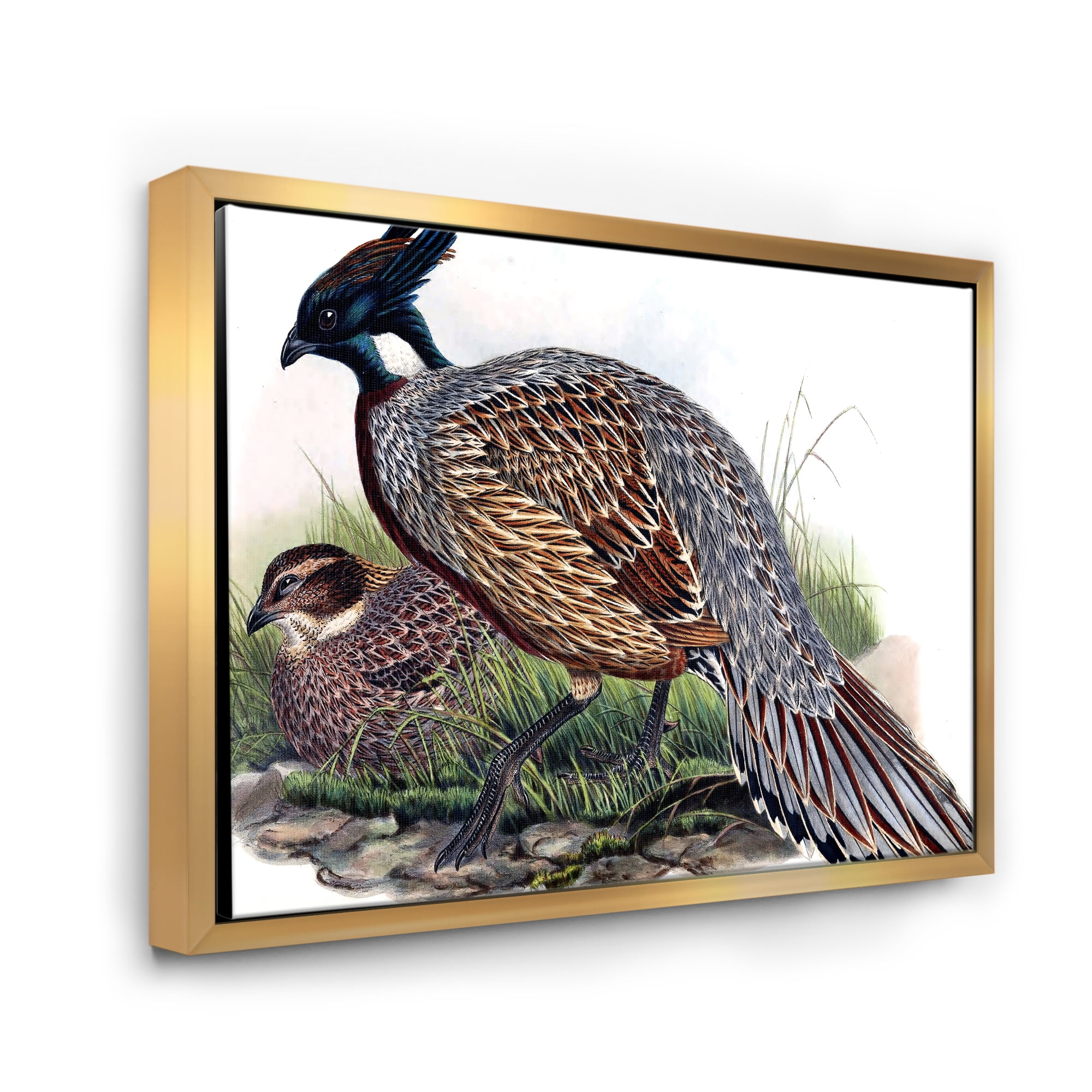 Designart 'Close Up Of Vintage Countryside Birds' Farmhouse Framed Canvas Wall Art Print
