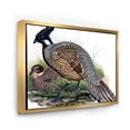 thumbnail image 3 of Designart 'Close Up Of Vintage Countryside Birds' Farmhouse Framed Canvas Wall Art Print, 3 of 5