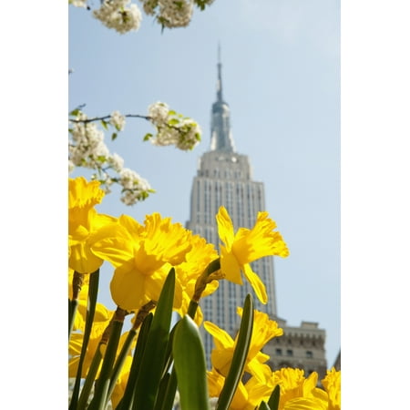 Views Of The Empire State Building And Flowers In Springtime Manhattan New York Usa Stretched Canvas - Dosfotos  Design Pics (12 x