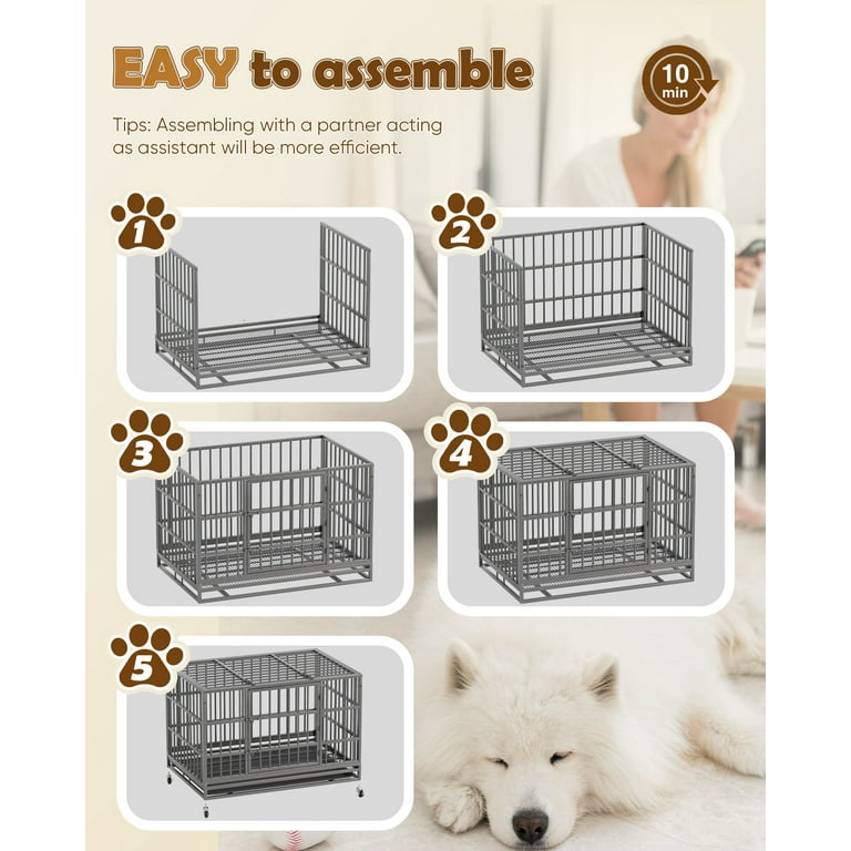 What Size Crate Should I Get For A American Bulldog