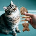 thumbnail image 6 of Barhoo Catnip Toys Cat Nip for Cats Creative Fish Bone Cat Toy Wooden Teeth Cleaning Stick Natural Fishbone Dental Care Tool Feline Tooth Cleaning Toy Durable Chew Toy for Cats Oral Health, 6 of 9