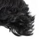 thumbnail image 3 of KAKOWELY Peluca corta de pelo sintético para hombre, rizada, en capas, para cosplay, para uso diario, fiesta, disfraz, discoteca, rock, actuación., 3 of 4