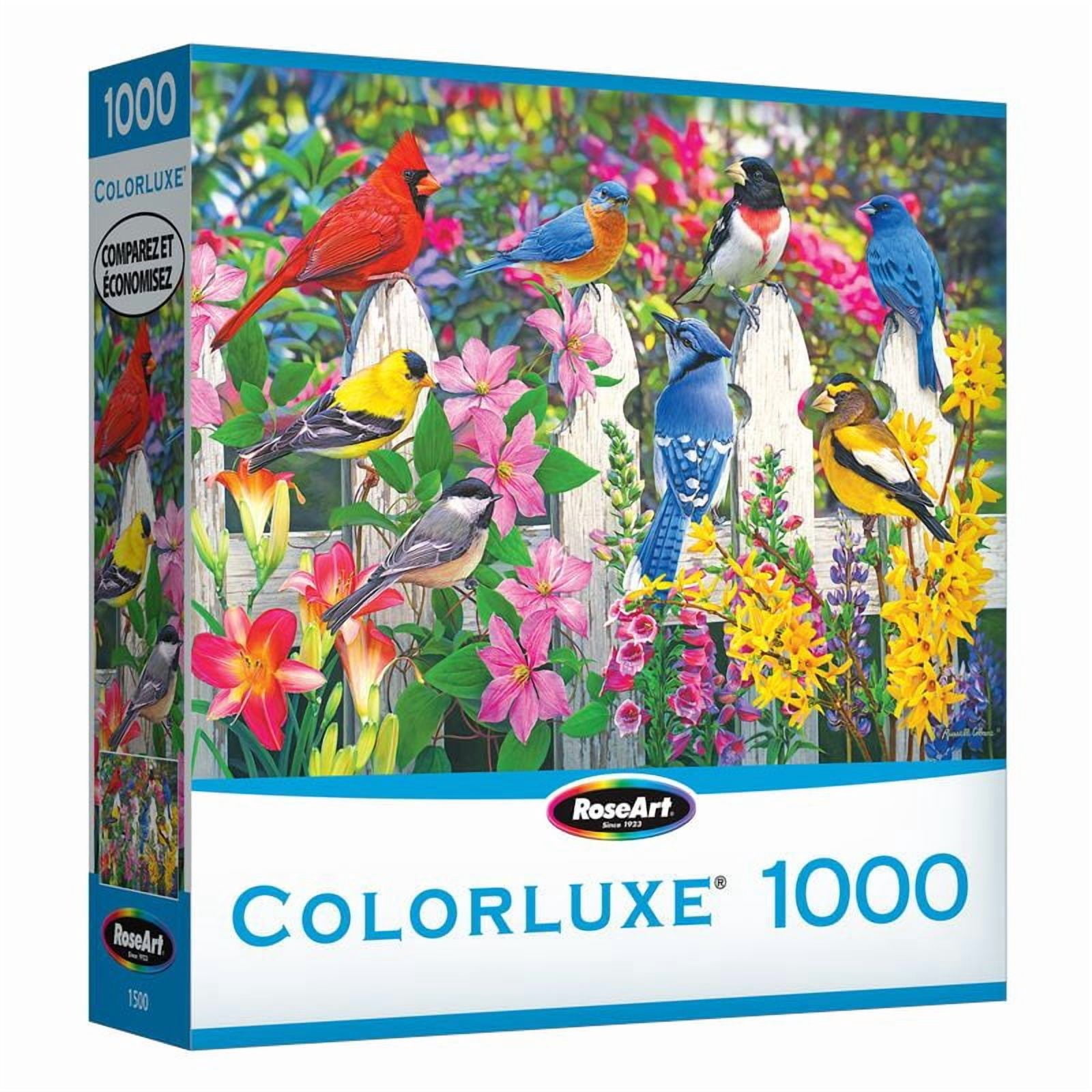 COLORLUXE 1000PC MEETING PLACE
