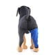 thumbnail image 5 of Rehabilitación De Suministros Para Mascotas Después De La Cirugía Protector De Patas Traseras Para Rehabilitación De Perros Eigraketly PT001736-09, 5 of 6