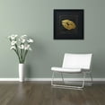 thumbnail image 4 of Trademark Fine Art "Golden Lips" Canvas Art by Color Bakery, Black Matte, Black Frame, 4 of 4
