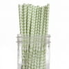 Dress My Cupcake 25-Pack Vintage Paper Straws, Kiwi Green Chevron