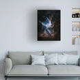 thumbnail image 2 of Trademark Fine Art Vikas Chander Thor's helmet Canvas Wall Art, 2 of 4