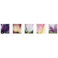 thumbnail image 2 of Sellos Tulip Blossom del Servicio Postal de los Estados Unidos, 20 unidades, 2 of 2