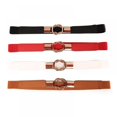 Women Skinny Belt for Dresses Retro Stretch Ladies Waist Belt Plus Size