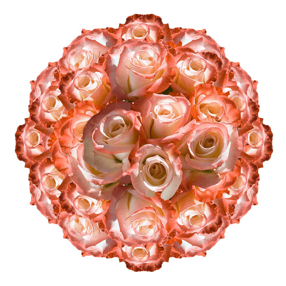 72 Open Roses Rainbow Long Stem Silk Rose Wedding Bouquet Centerpiece Flowers 