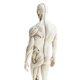 thumbnail image 4 of Modelo de de Anatomía Femenina / Masculina de 11 Pulgadas, Referencia Anatómica para Artistas, 4 of 9