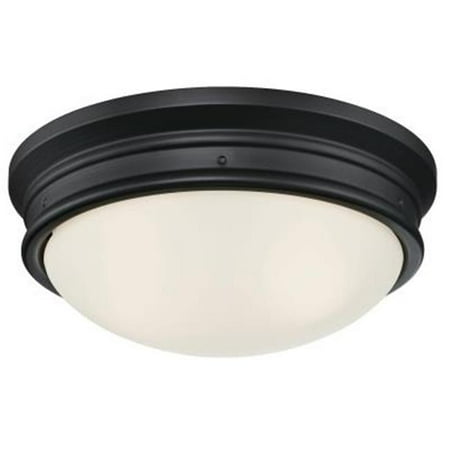 

2 Light Meadowbrook Indoor Flush-Mount Ceiling Fixture Oval