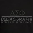 thumbnail image 3 of CafePress - Delta Sigma Phi Grayscale Stacked Logo T Shirt - Men's Fitted T-Shirt, 3 of 4