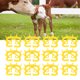 thumbnail image 5 of Destete De Nariz Para Ganado De Vaca De Ternero, Destete De Ternero Compacto Eficaz, 20 Piezas, Fácil De Limpiar Para Granja, 5 of 7