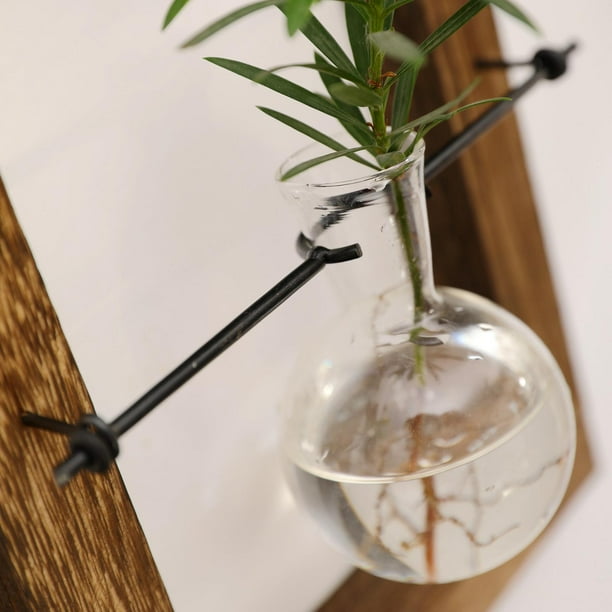 Juego De 4 Terrarios Colgantes De Vidrio Para Pared - Macetas De Cristal Para Plantas De Aire