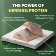 thumbnail image 3 of Nature's Protection Superior Care Dry Dog Food, Adult Small White Coat Dogs, Grain-Free Herring, 3.3lb, 3 of 9