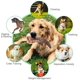thumbnail image 3 of Juguete para perros indestructible para perros grandes, juguete para masticar perros para masticadores agresivos, juguete para perros indestructible para razas medianas y grandes, para limpieza de die, 3 of 4
