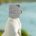 thumbnail image 6 of BadPiggies Dog Warm Knitted Hat Hoodies Quiet Ear Muffs Headband Noise Block Pet Ear Protection - Gray, 6 of 9