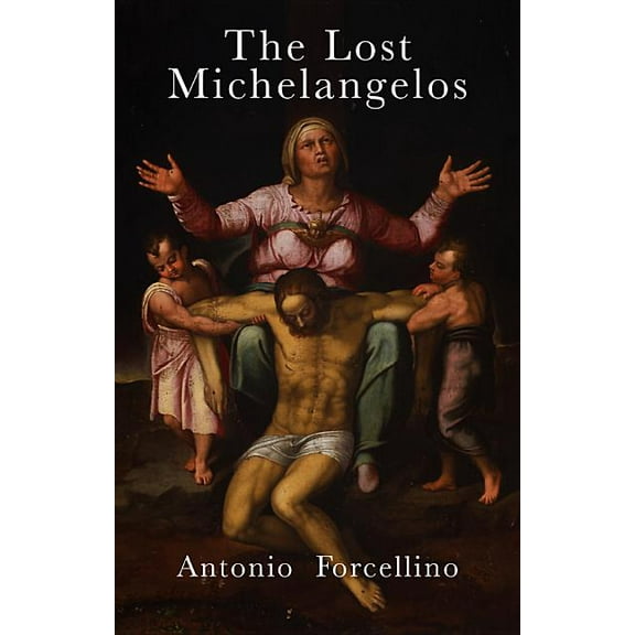 The Lost Michelangelos (Hardcover)