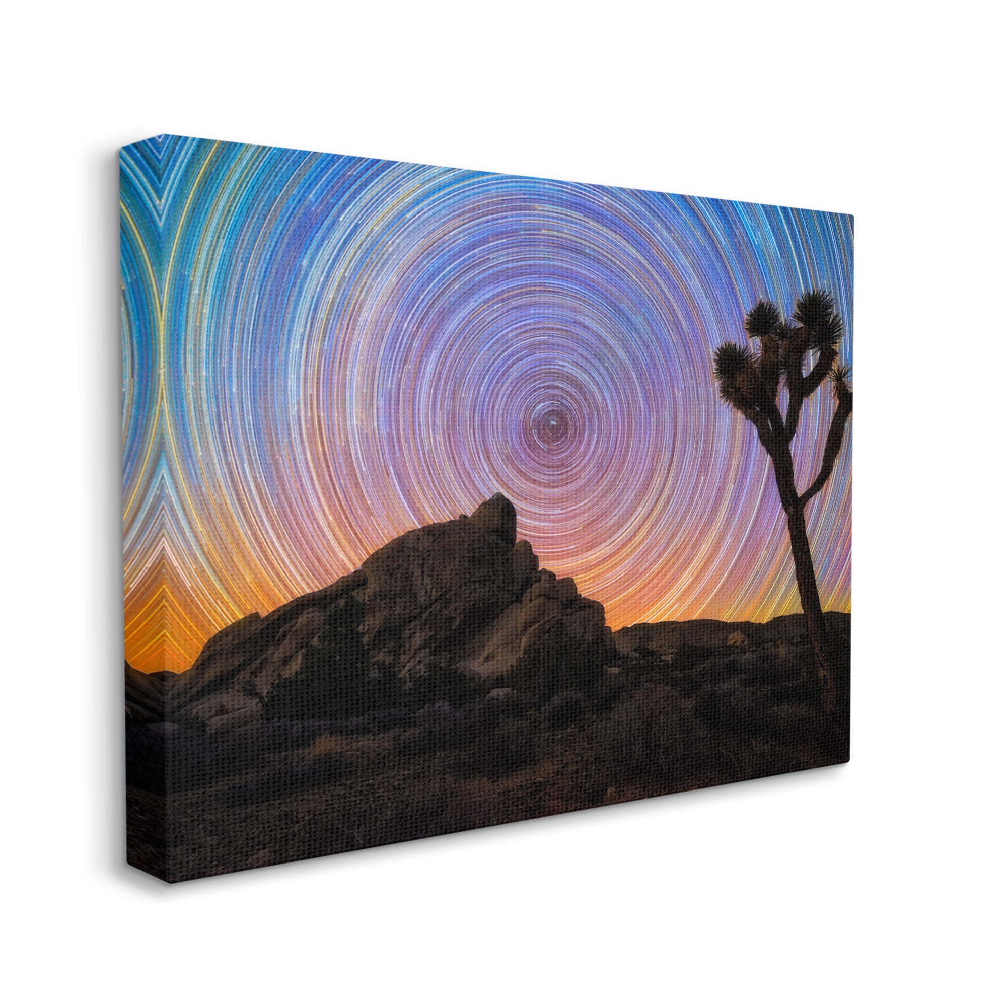 Stupell Industries Kaleidoscopic Swirl Pattern Sky Desert Tree Silhouette Graphic Art Gallery Wrapped Canvas Print Wall Art, Design by Lincoln Harrison