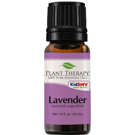 Plant Therapy Lavender Essential Oil | 100% Pure, Undiluted, Natural Aromatherapy, Therapeutic Grade | 10 mL (1/3