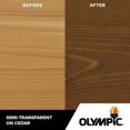 thumbnail image 3 of OPAL- Elite 8-Oz. Black Walnut Est709 Semi-Transparent Exterior Stain And Sealant In O, 3 of 5