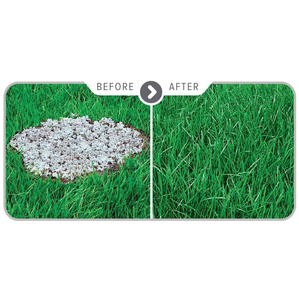 Scotts Co. Scotts PatchMaster Sun and Shade Mix Grass Patch & Repair