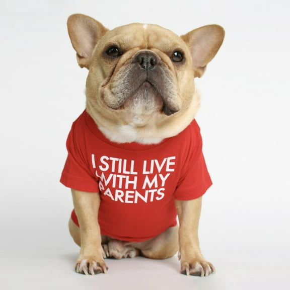 SPRING PARK Dog Shirt Cotton Letter Printing Two-legged Summer Round Neck Short Sleeve Vest Clothes for Pet Puppy