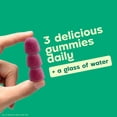 thumbnail image 3 of Dulcolax Daily Gut Support Gummies, Magnesium Formula, Stimulant-Free, Berry Flavor, 60 Count, 3 of 11