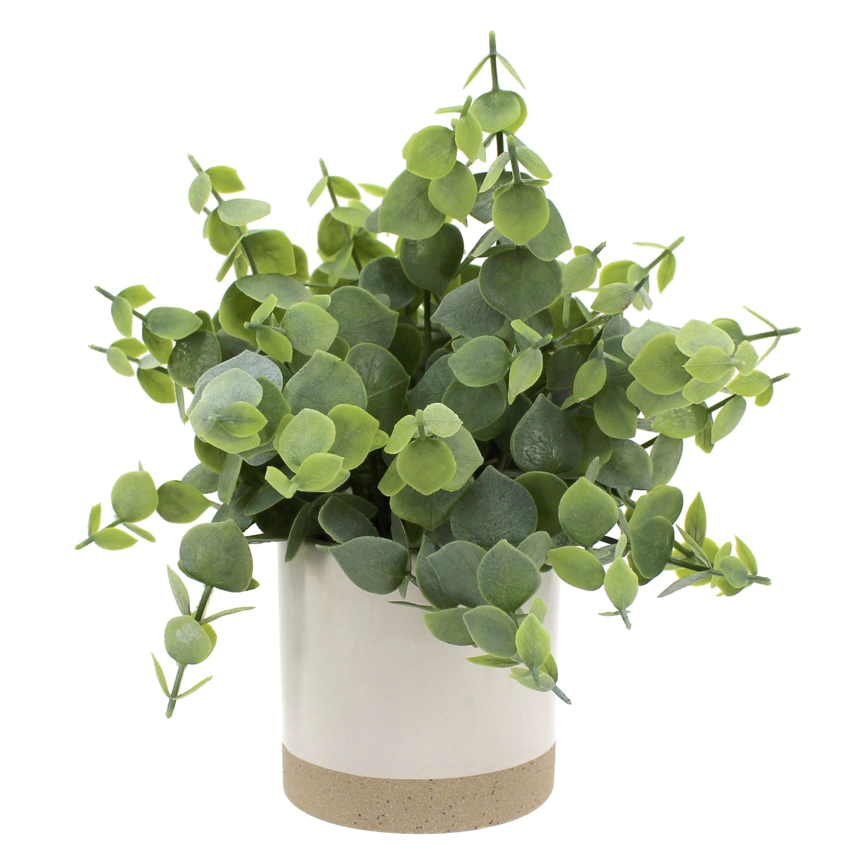 (3 pack) Mainstays 8" Artificial Green Eucalyptus Plant in Two-Tone Glazed Ceramic Planter
