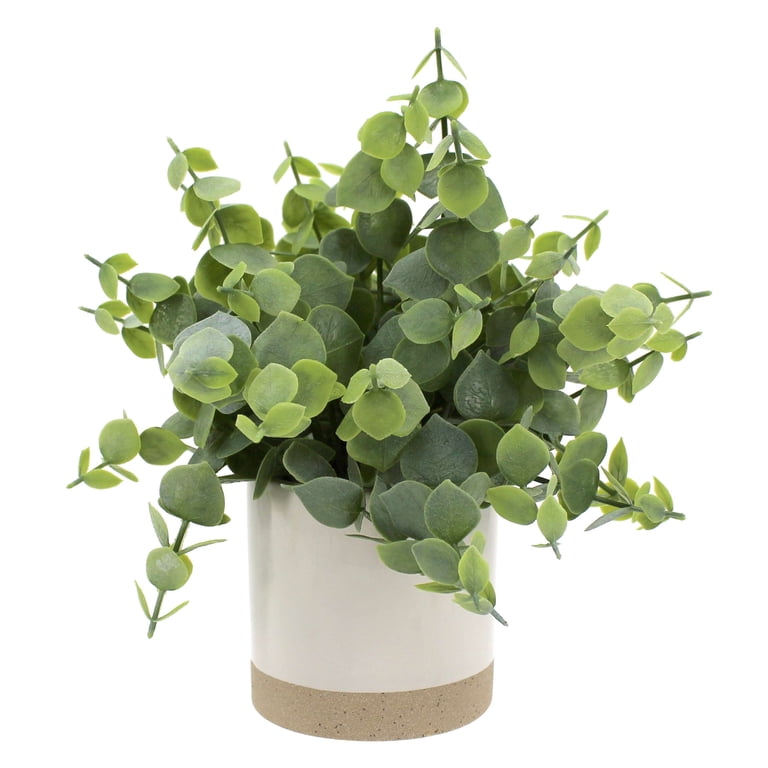 Mainstays 8 Inch Artificial Green Eucalyptus Plant in Ceramic Planter photo 4