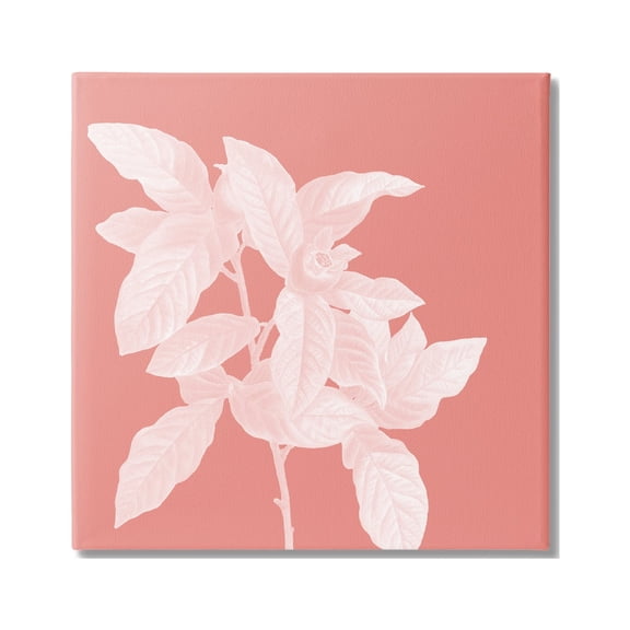 Stupell Industries Pink & White Botanical Botanical & Floral Painting Gallery Wrapped Canvas Art Print Wall Art, 36 x 36