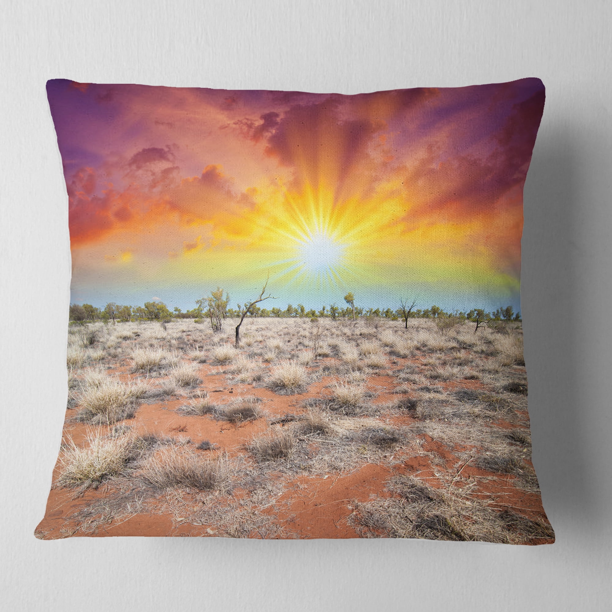 Designart Beautiful Colors of Earth - Landscape Photography Throw Pillow - 16x16