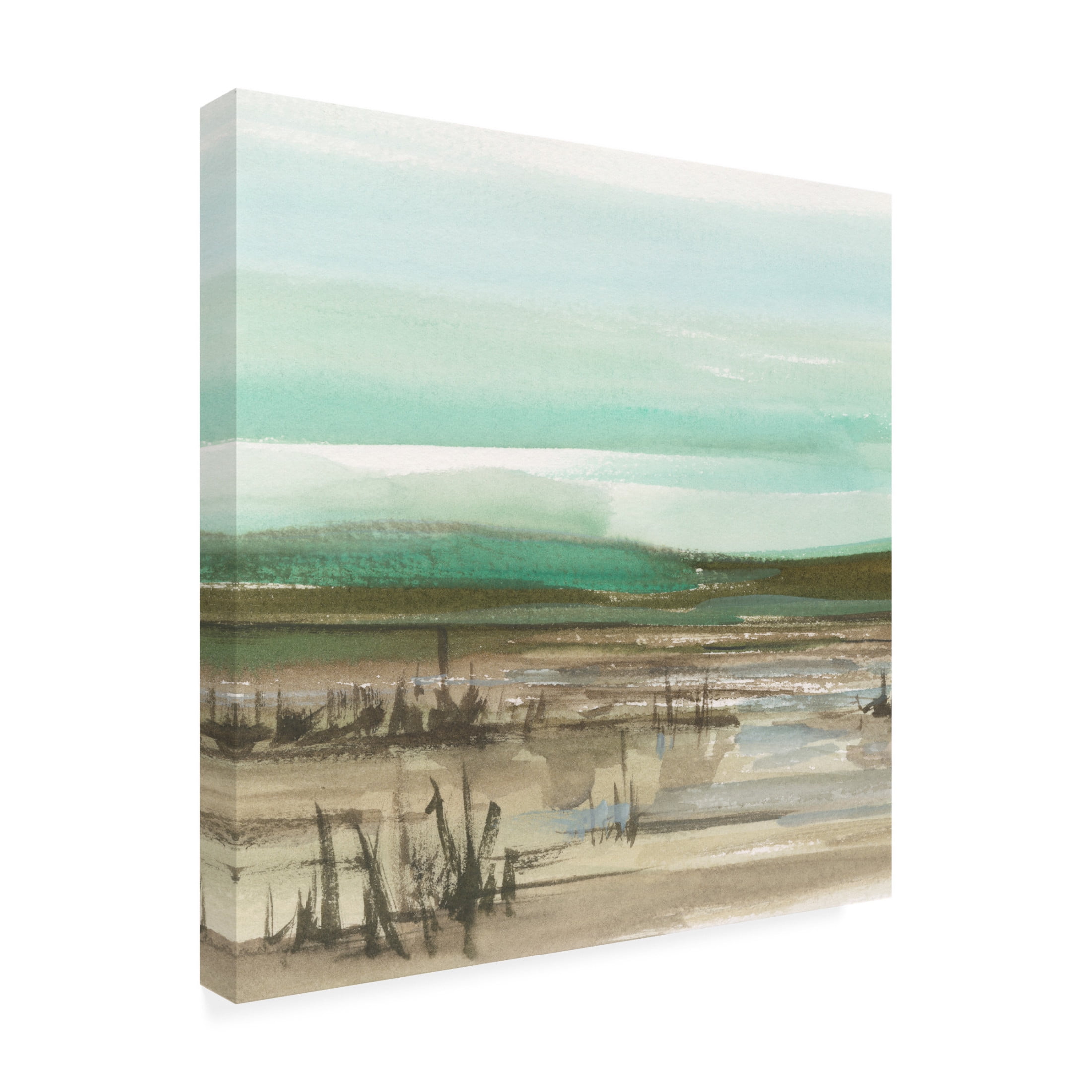 Trademark Fine Art Ethan Harper  Sparkling Marsh II Canvas Wall Art
