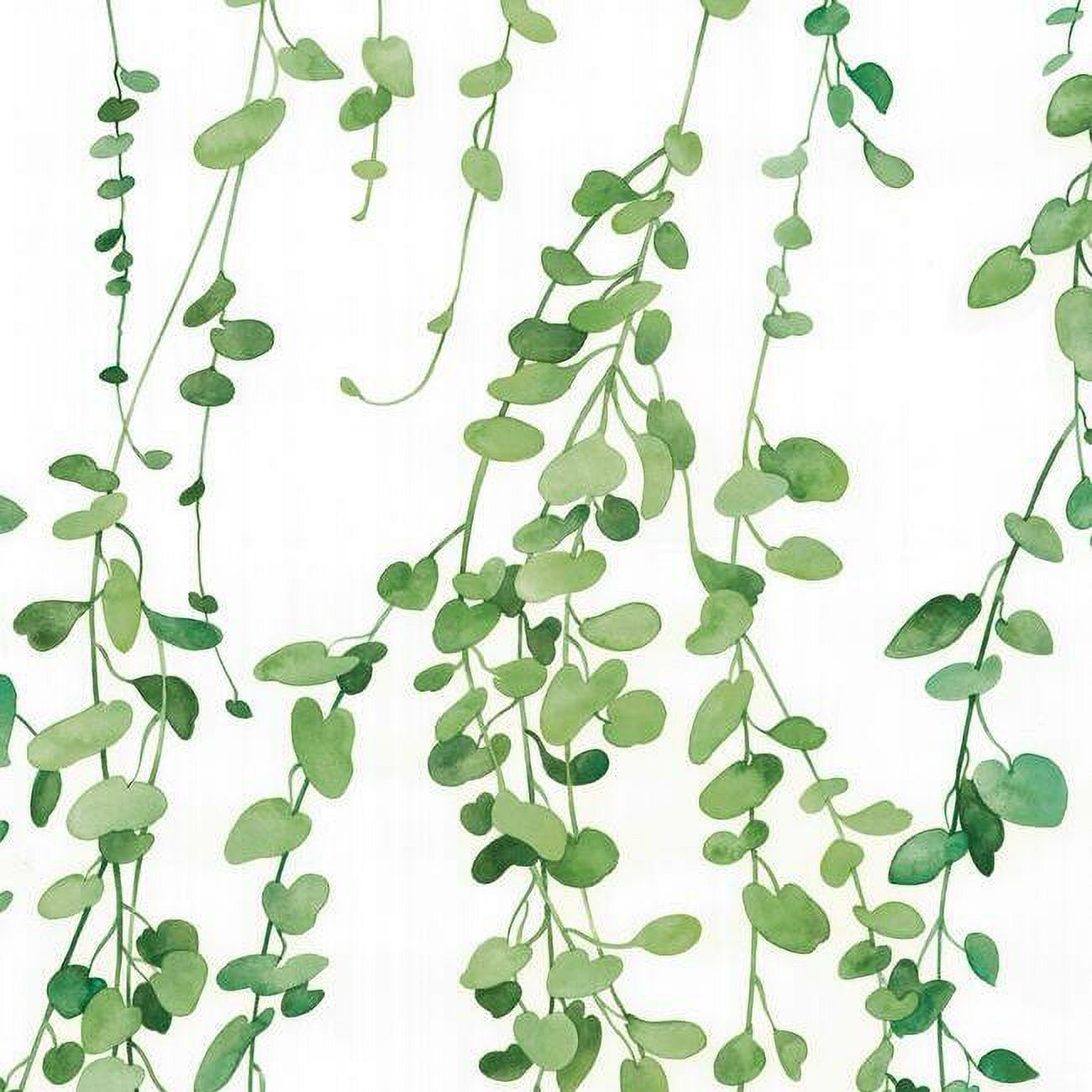 Hanging Watercolor Vines Peel and Stick Wallpaper