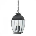 thumbnail image 1 of Quoizel Bain Large Hanging Lantern in Mystic Black, 1 of 2