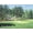 Unframed, variant on The 11th At Augusta-White Dogwood Art Print by Bernard Willington, 16" x 12"