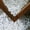 100G, variant on White Decorative Stones, Natural Pebbles for Fish Tank Decor, Vase Filler, Flower Pot and Landscaping Use