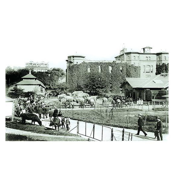 Central Park: The Menagerie c.1873-Fine Art Canvas Print (20" x 30")