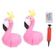 thumbnail image 2 of Luces de Piscina de Flamenco Flotantes, Luces de Piscina de Flamenco Estilo IP68 Impermeable 16 color Rosa Con Control Remoto para Piscina al Aire Libre, 2 of 7