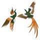 thumbnail image 4 of Daboolka 4 unids/set Phoenix Bird combinación hierro en apliques ropa parches para coser bordado DIY, 4 of 8