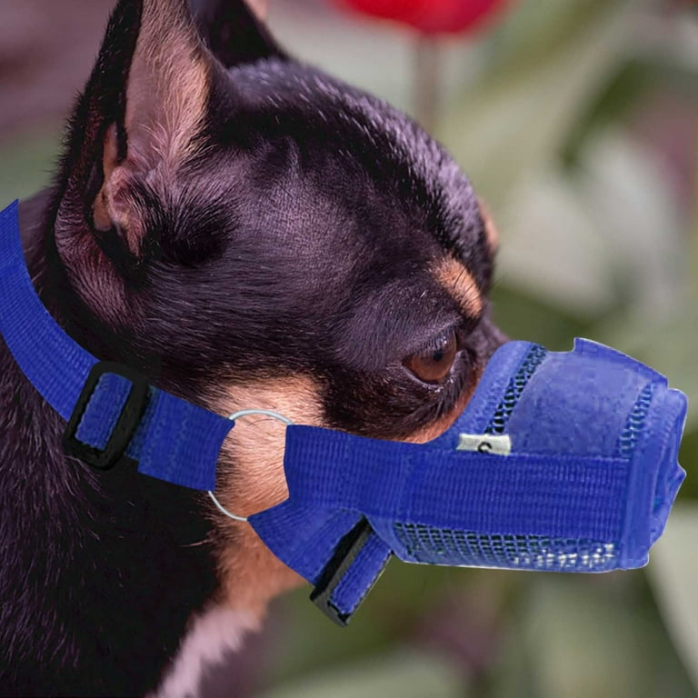 Dog muzzle pet supplies plus sales