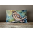 thumbnail image 4 of Carolines Treasures DAC3279PW1216 16 x 12 in. Unisex Tawny Owl Polyester Fabric Throw Pillow, 4 of 4
