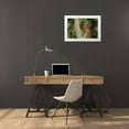 thumbnail image 3 of Kaveney, Wendy 18x13 White Modern Wood Framed Museum Art Print Titled - Arizona, Amado Northern cardinal on dead tree, 3 of 4