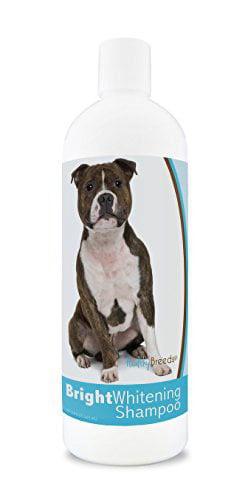 Golden retriever bright whitening shampoo hotsell