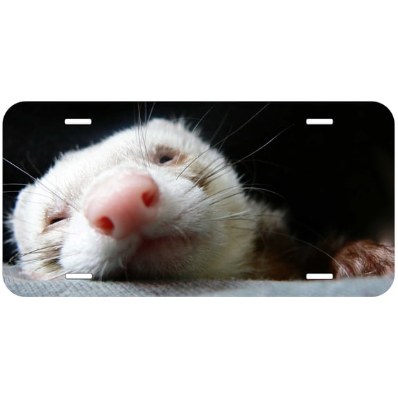 Ferret TAG02 Novelty Car Auto License Plate