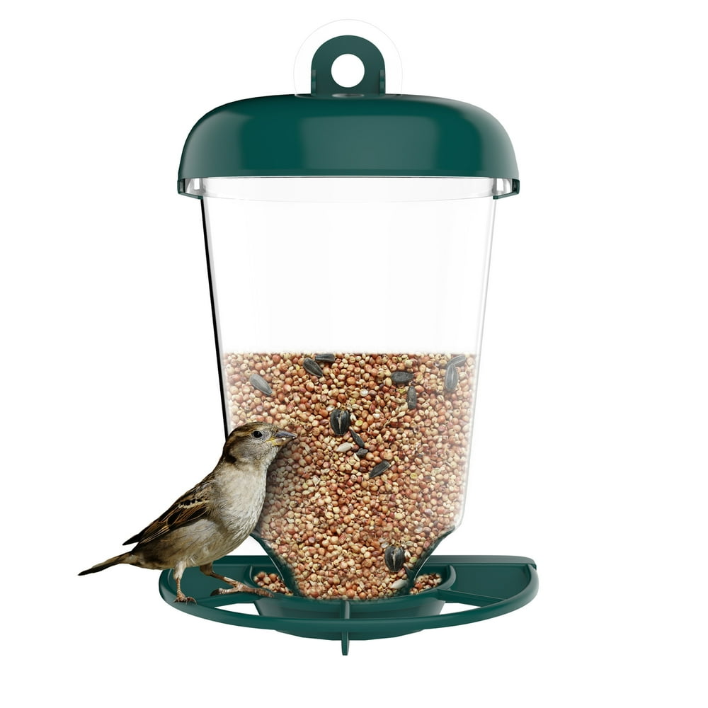 Pure Garden Bird Feeder Window Station, Plastic, Green and Clear